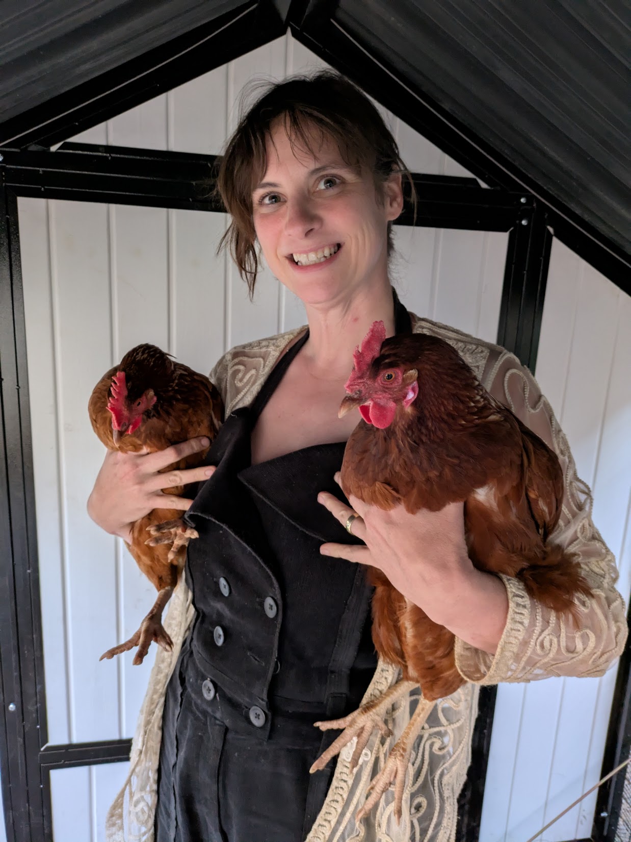 Our backyard chickens